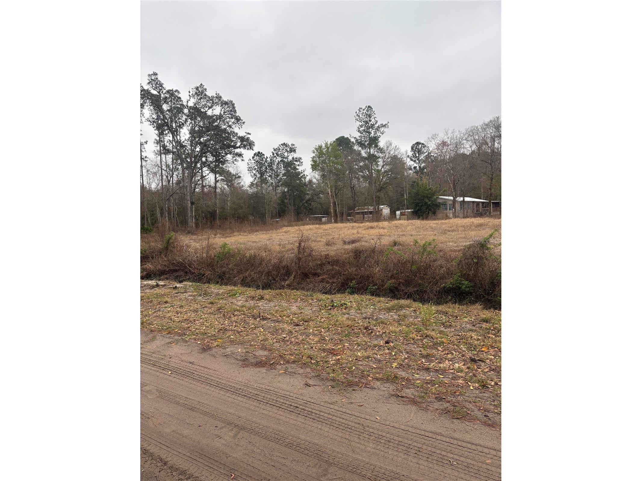 9600 Light Avenue Hastings FL 32145 FC318649 image6