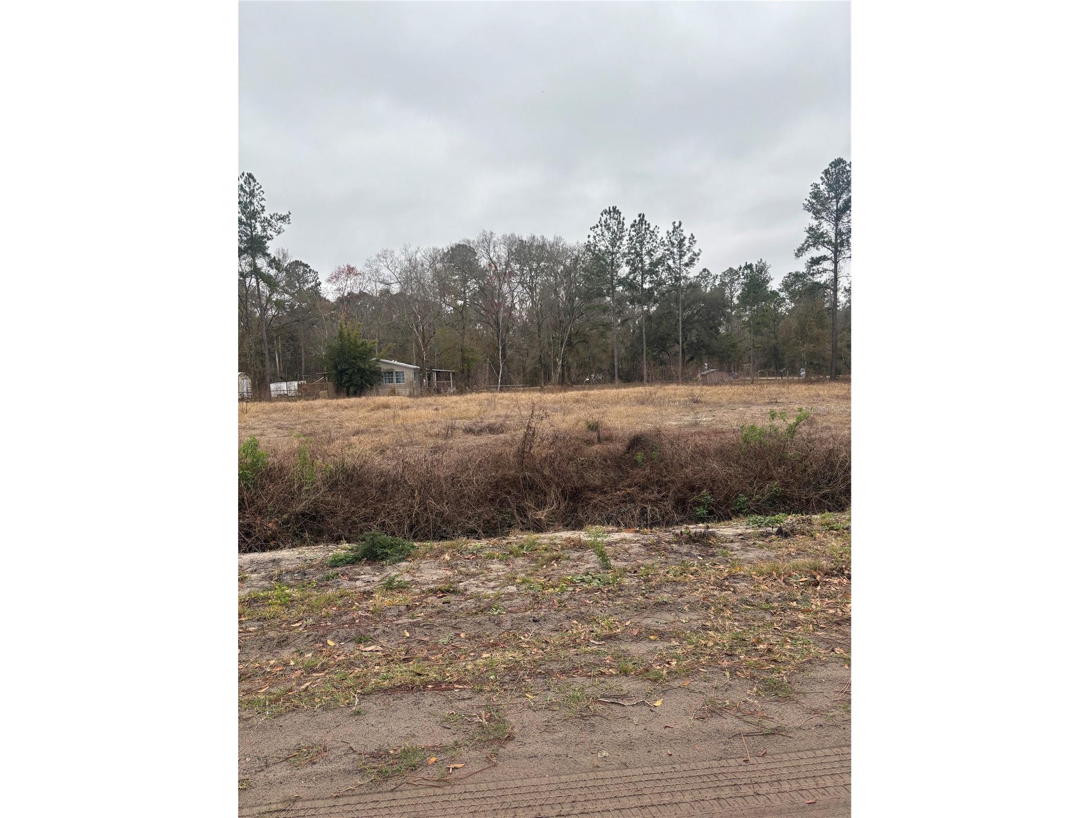 9600 Light Avenue Hastings FL 32145 FC318649 image7