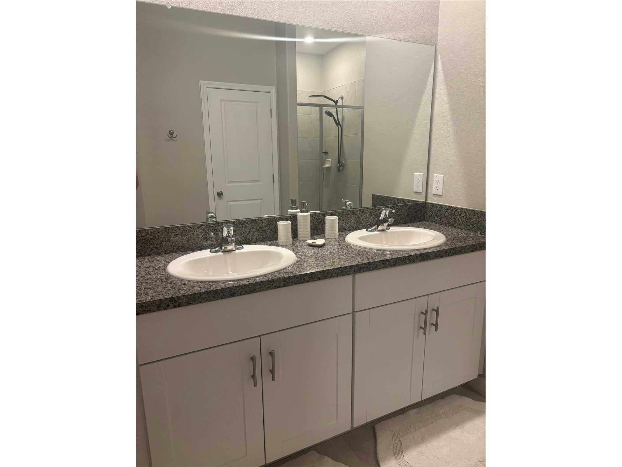 9601 Flourish Drive Land O Lakes FL 34637 TB8508202 image18