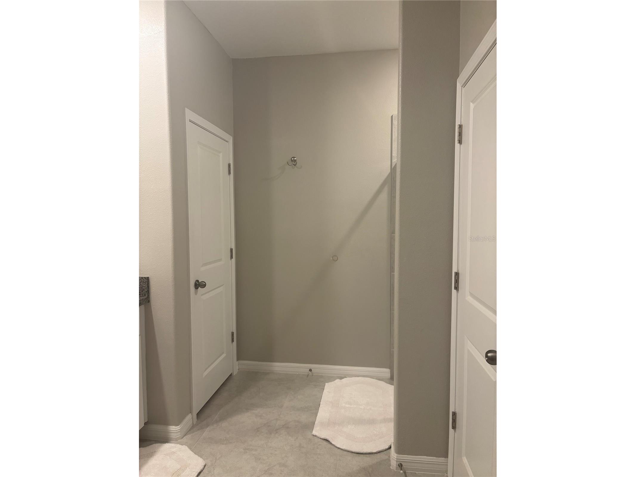 9601 Flourish Drive Land O Lakes FL 34637 TB8508202 image19