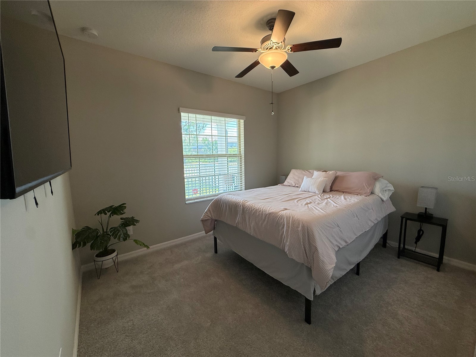9601 Flourish Drive Land O Lakes FL 34637 TB8508202 image21