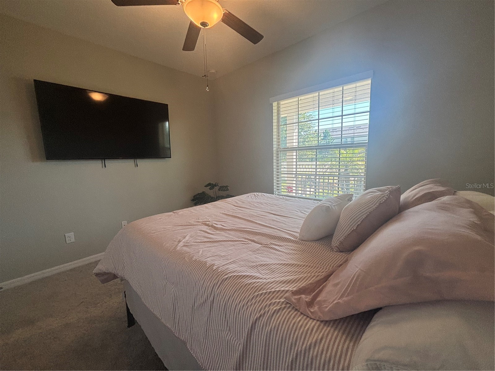 9601 Flourish Drive Land O Lakes FL 34637 TB8508202 image23