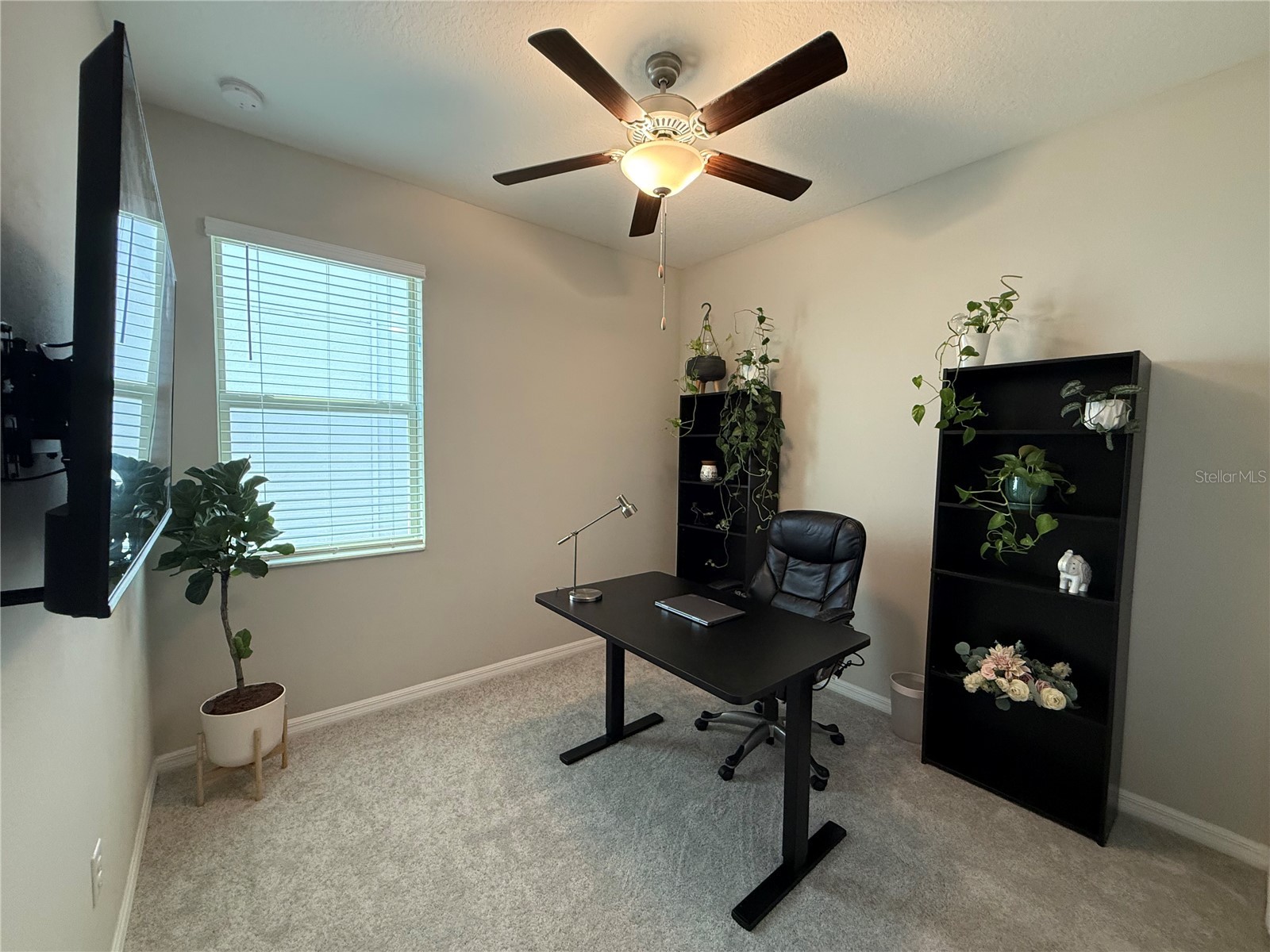 9601 Flourish Drive Land O Lakes FL 34637 TB8508202 image24
