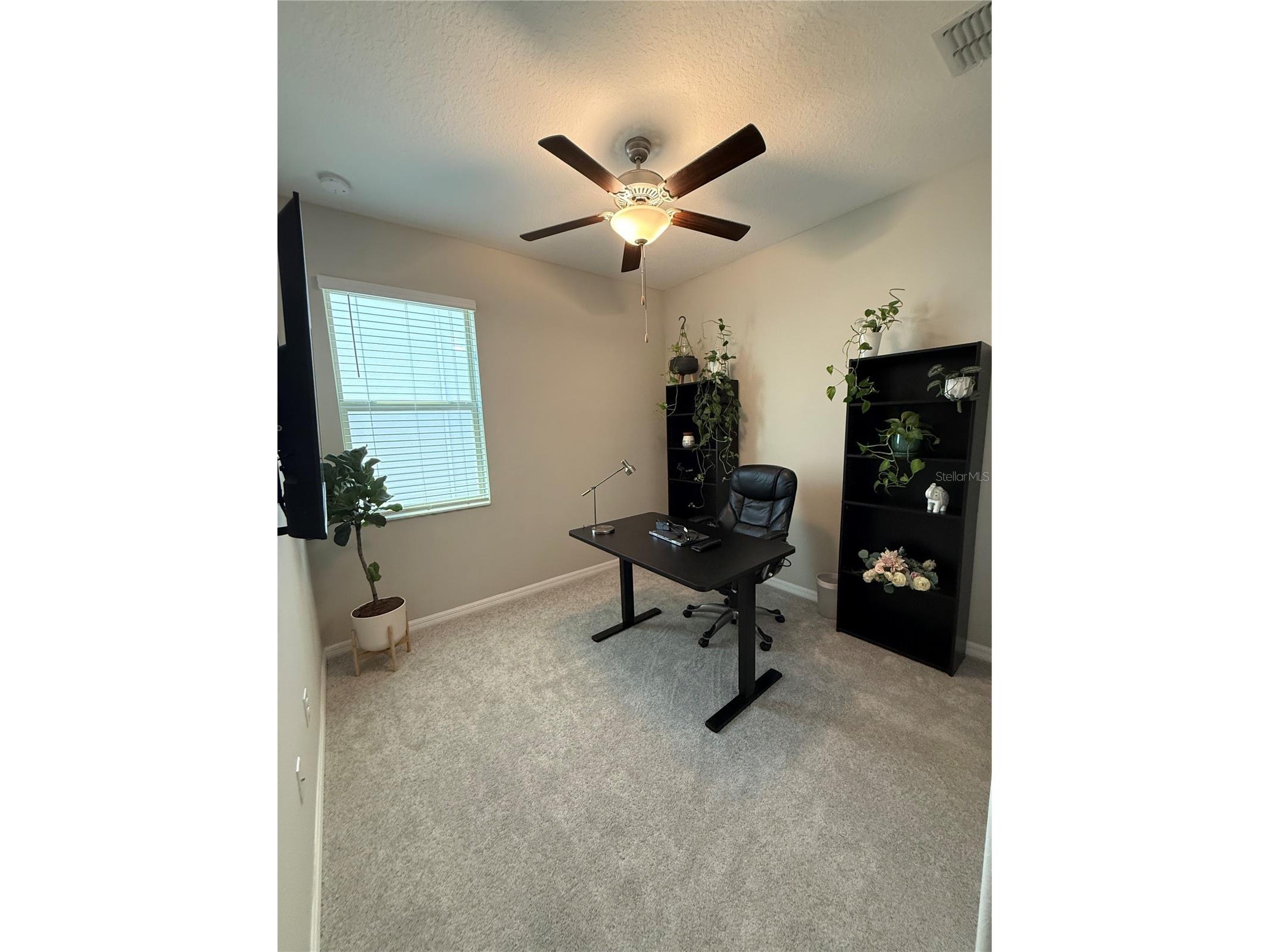 9601 Flourish Drive Land O Lakes FL 34637 TB8508202 image25