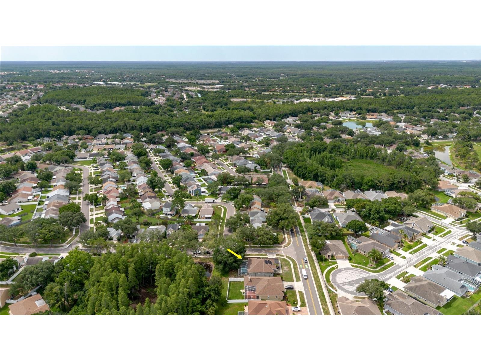 9601 Regents Park Drive Tampa FL 33647 TB8517604 image48