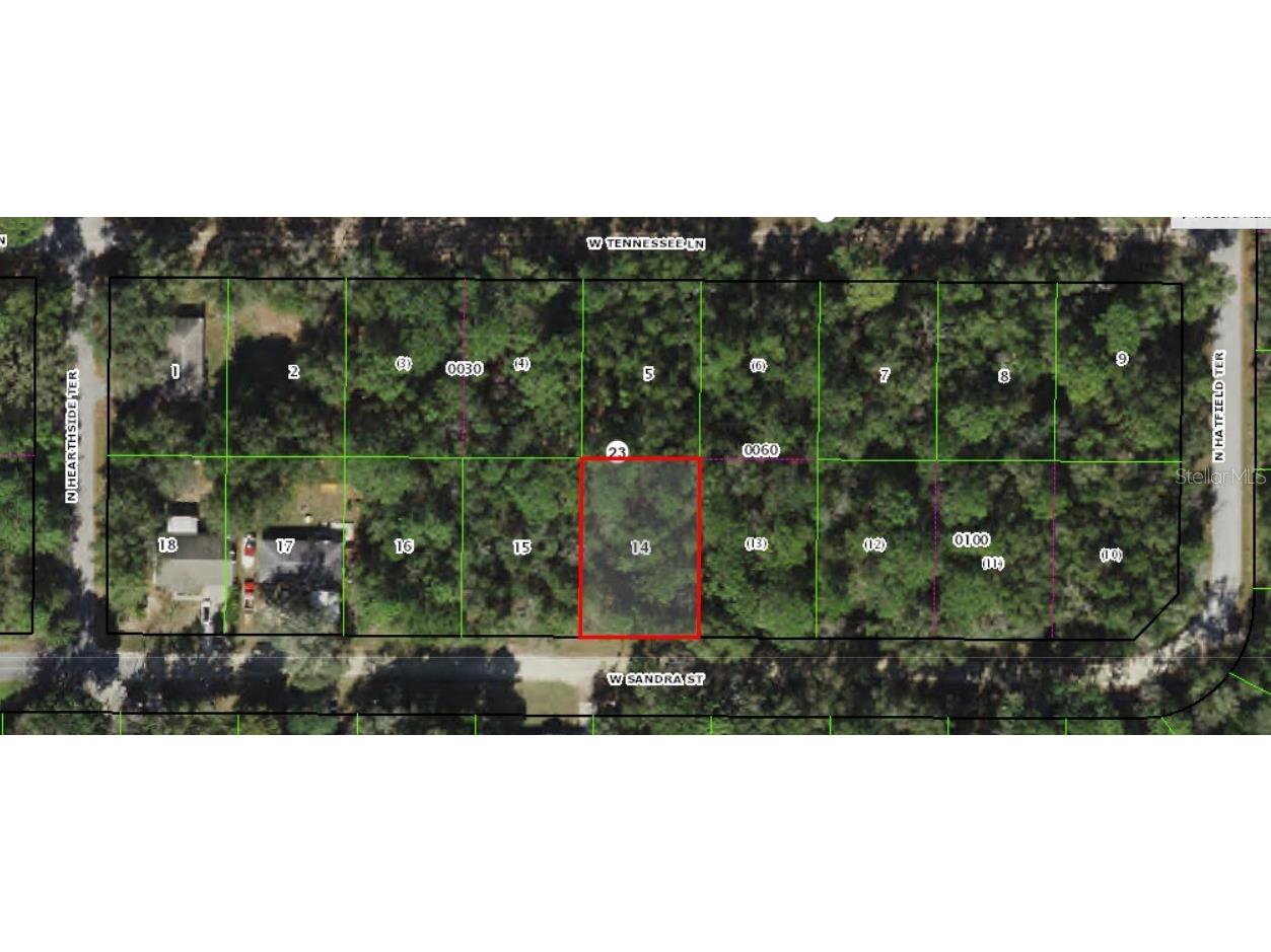 9601 W Sandra Street Crystal River FL 34428 OM651689 image1