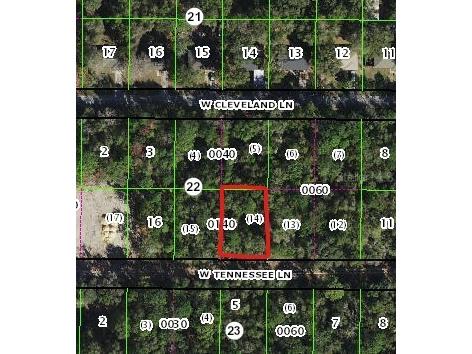 9601 W Tennessee Lane Crystal River FL 34428 OM669287 image1