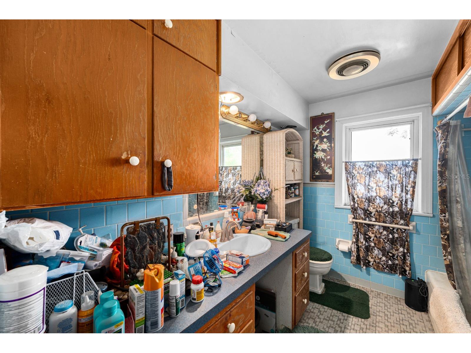 9602 Ripley Road Thonotosassa FL 33592 TB8507516 image13