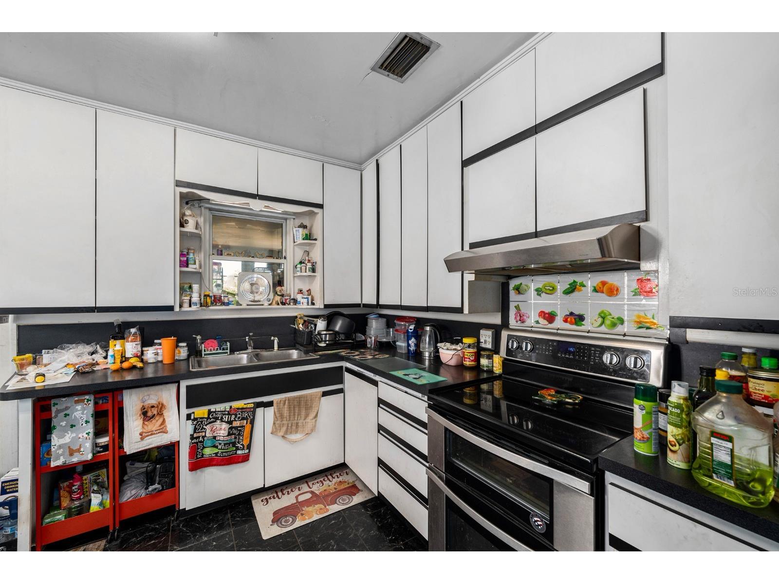 9602 Ripley Road Thonotosassa FL 33592 TB8507516 image7
