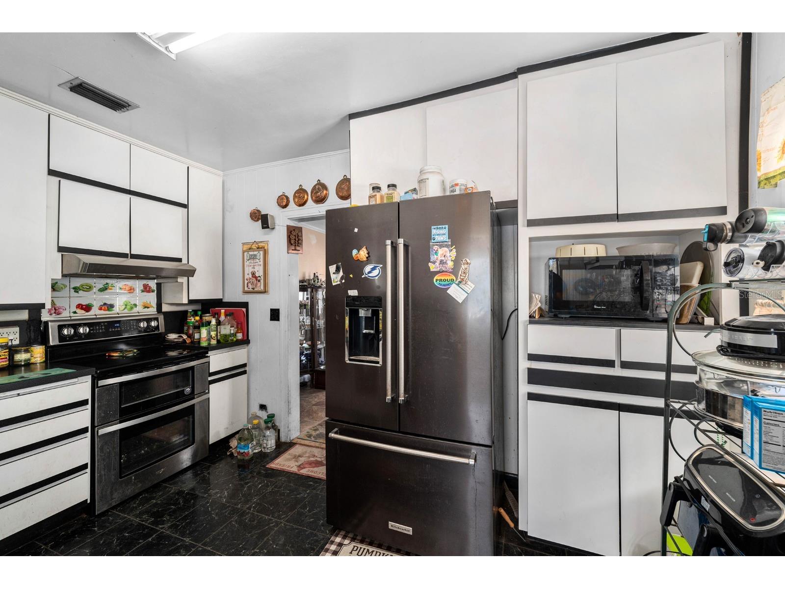 9602 Ripley Road Thonotosassa FL 33592 TB8507516 image9