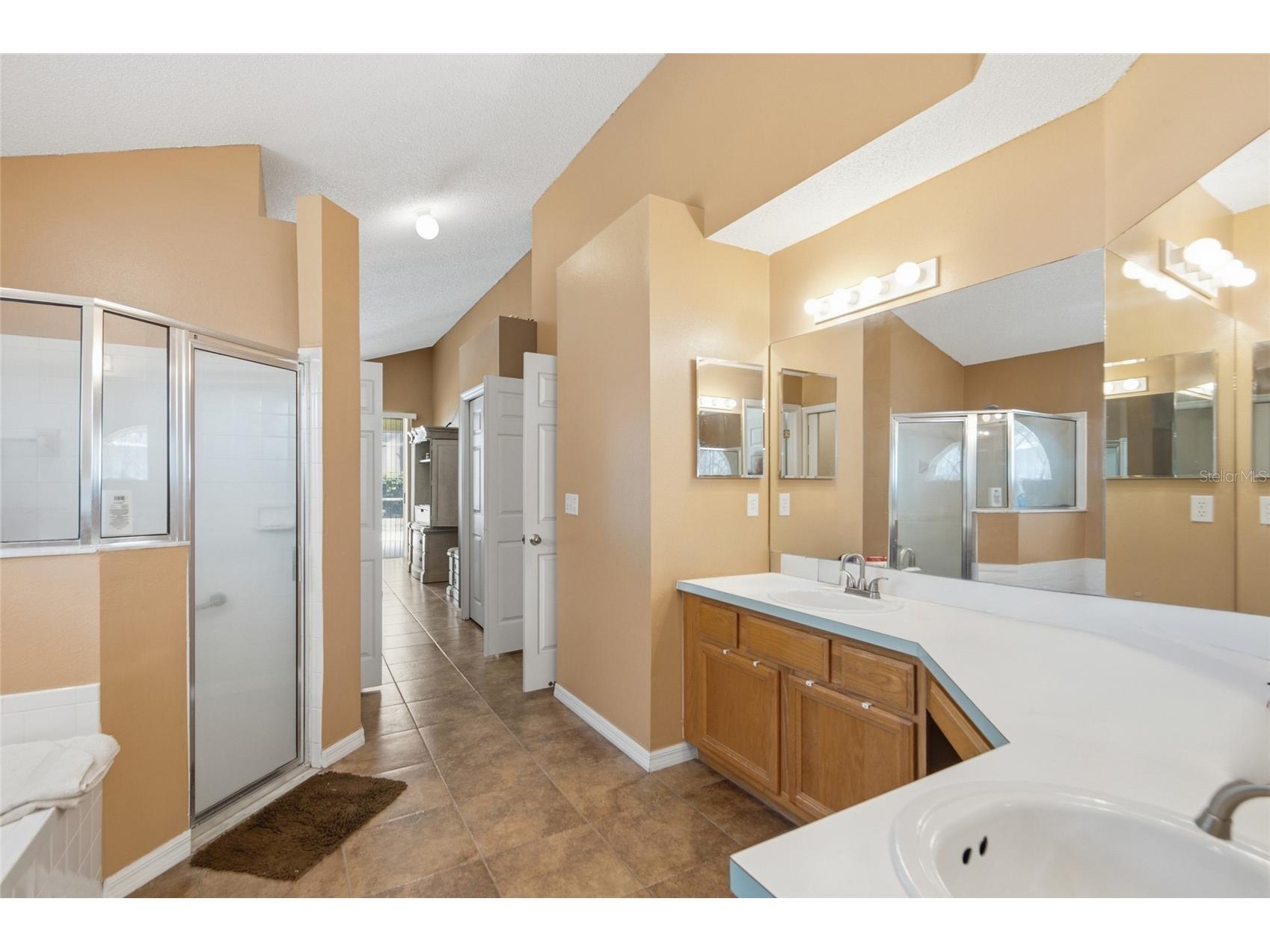 9602 Sunnyoak Drive Riverview FL 33569 TB8523192 image17