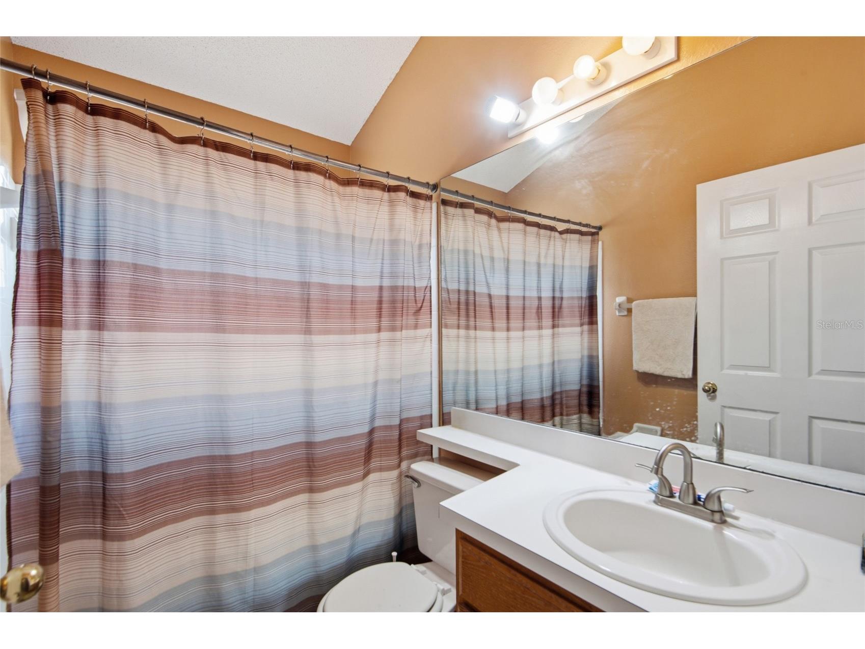 9602 Sunnyoak Drive Riverview FL 33569 TB8523192 image20
