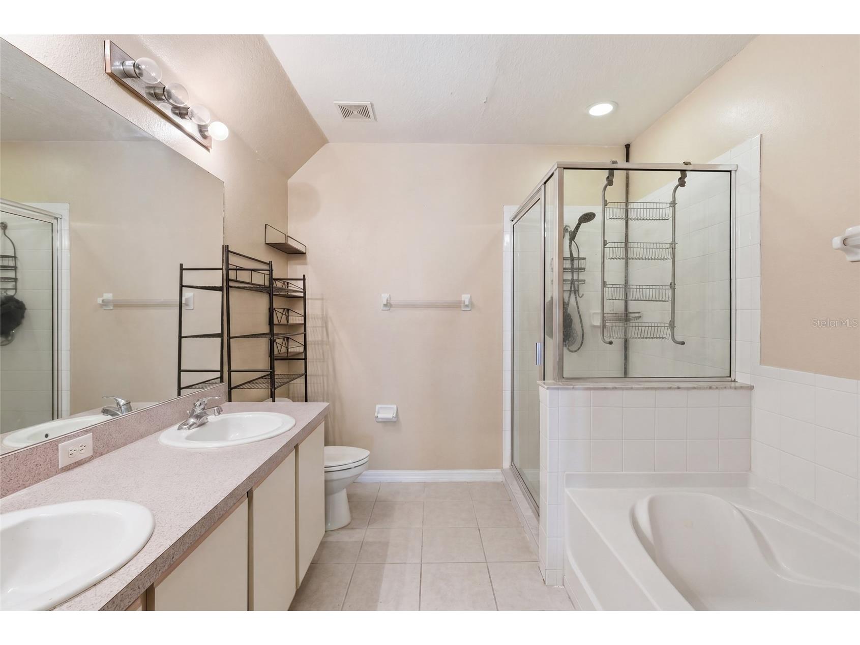 9603 Carlsdale Drive Riverview FL 33578 A4690750 image11