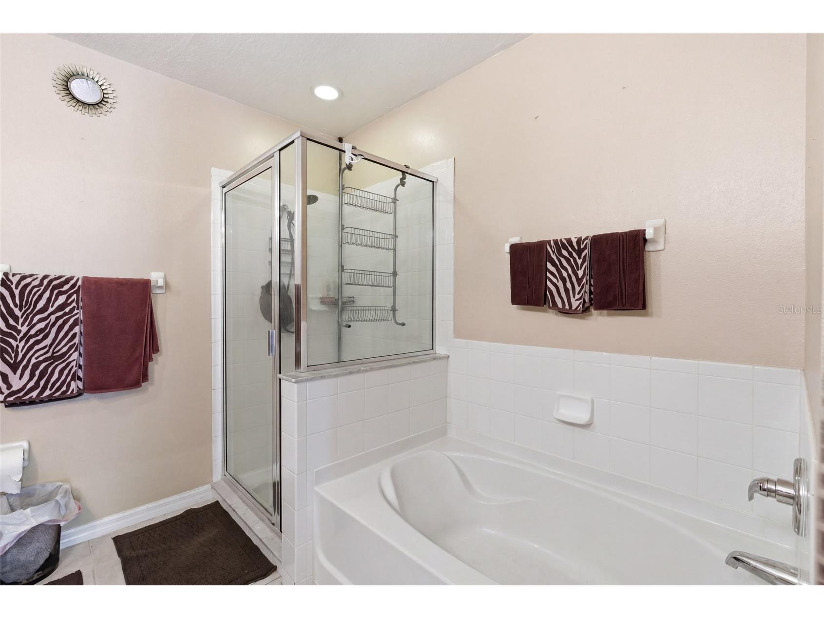9603 Carlsdale Drive Riverview FL 33578 A4690750 image12