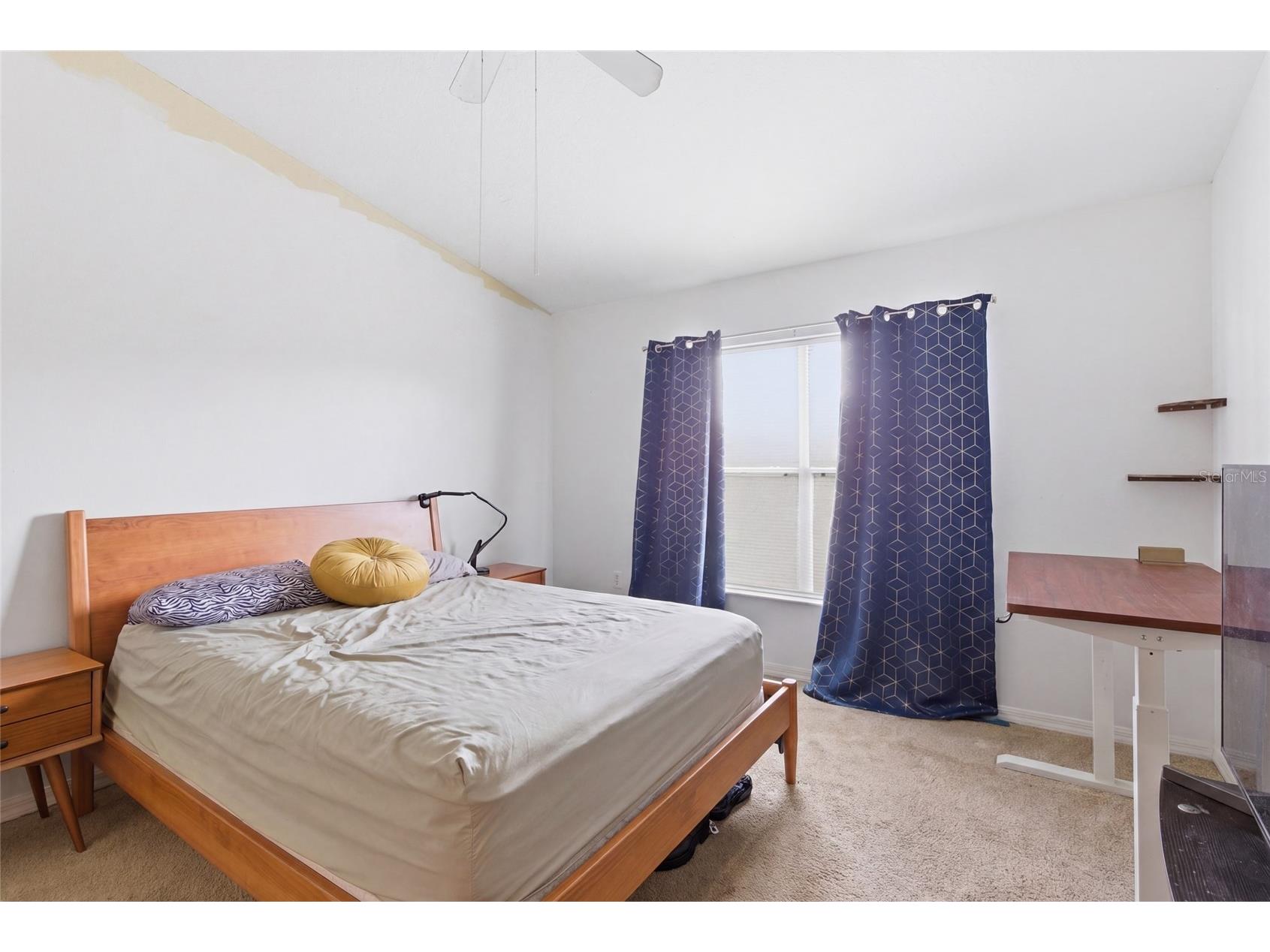 9603 Carlsdale Drive Riverview FL 33578 A4690750 image13