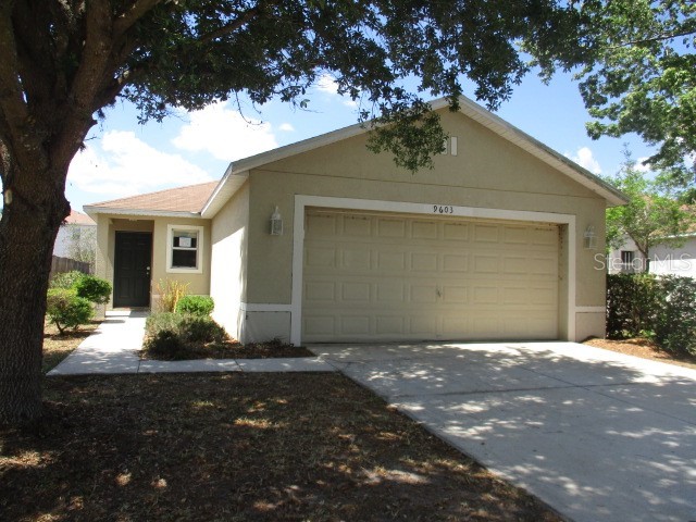 9603 Maxson Drive Land O Lakes FL 34638 T3439748 image1
