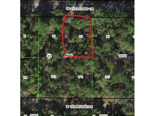 9604 W Cleveland Lane Crystal River FL 34428 OM650093 image1