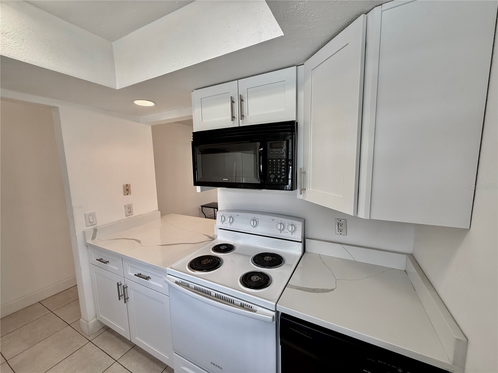 9605 Eastfield Road #9605 Thonotosassa FL 33592 O6421243 image5