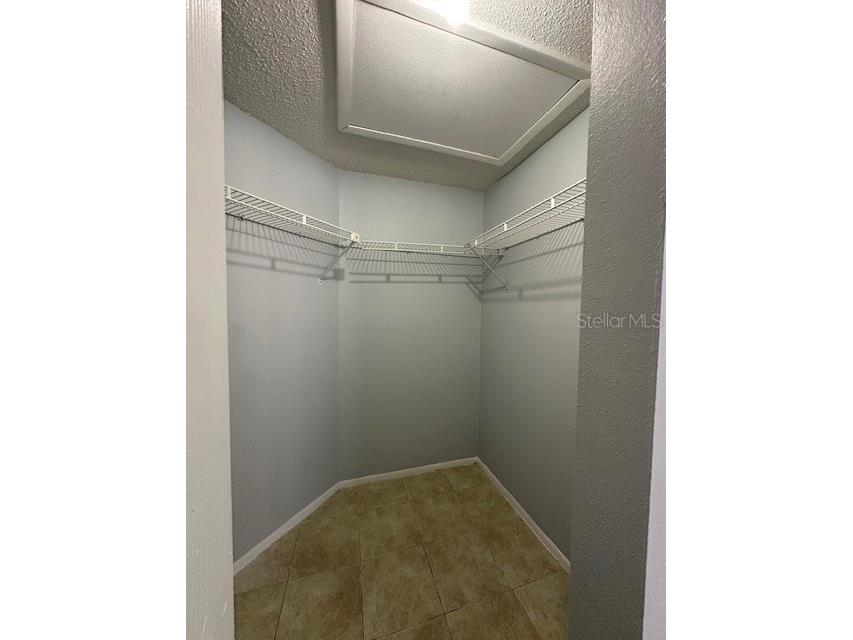 9605 Elgin Court Tampa FL 33615 TB8448465 image11