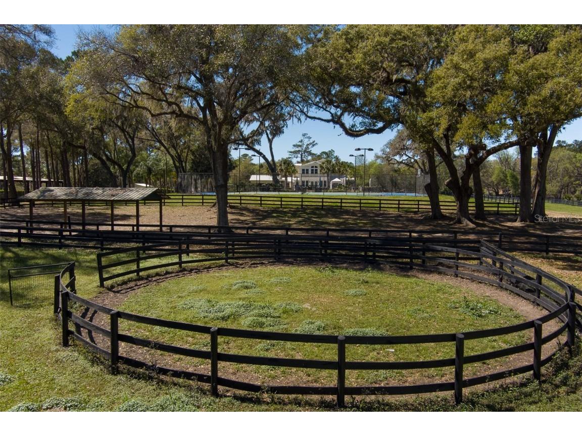 9605 S Magnolia Avenue Ocala FL 34476 OM696206 image36