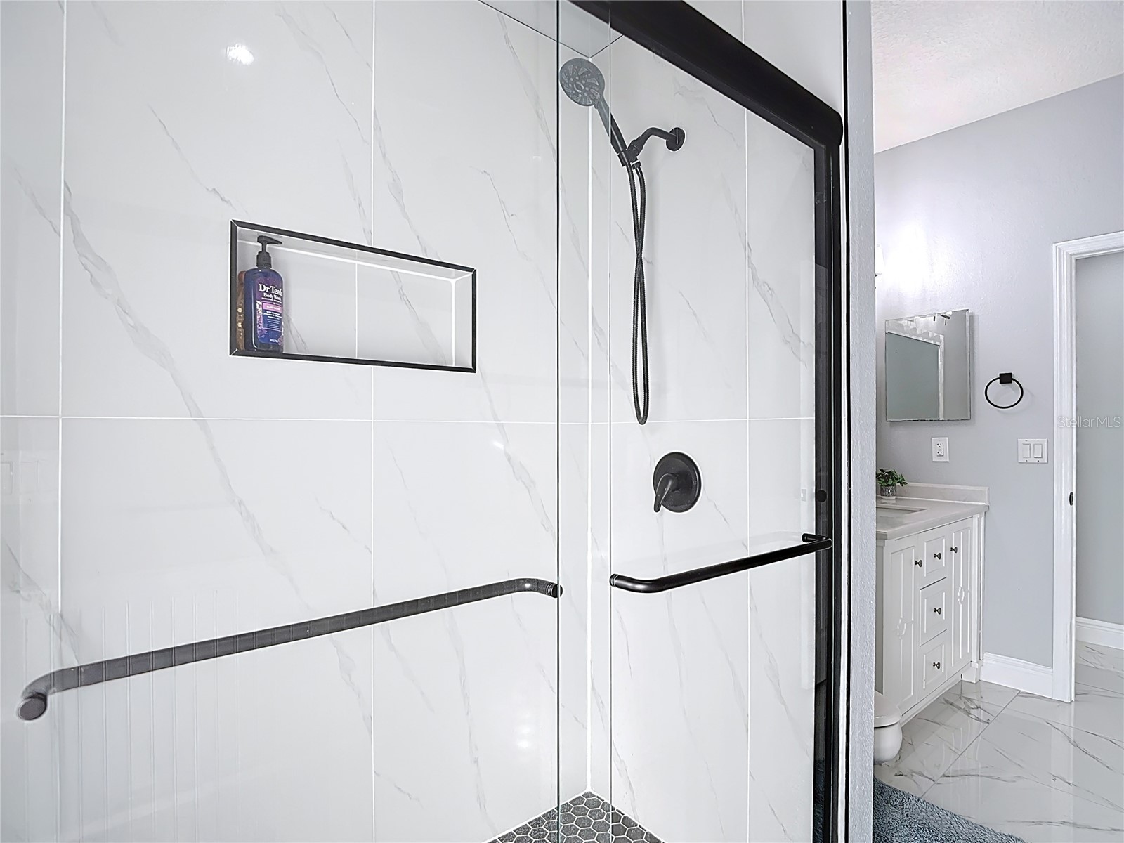 9606 Greenbank Drive Riverview FL 33569 TB8468510 image55