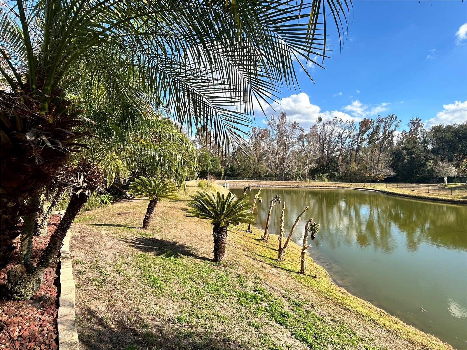 9606 Greenbank Drive Riverview FL 33569 TB8468510 image71