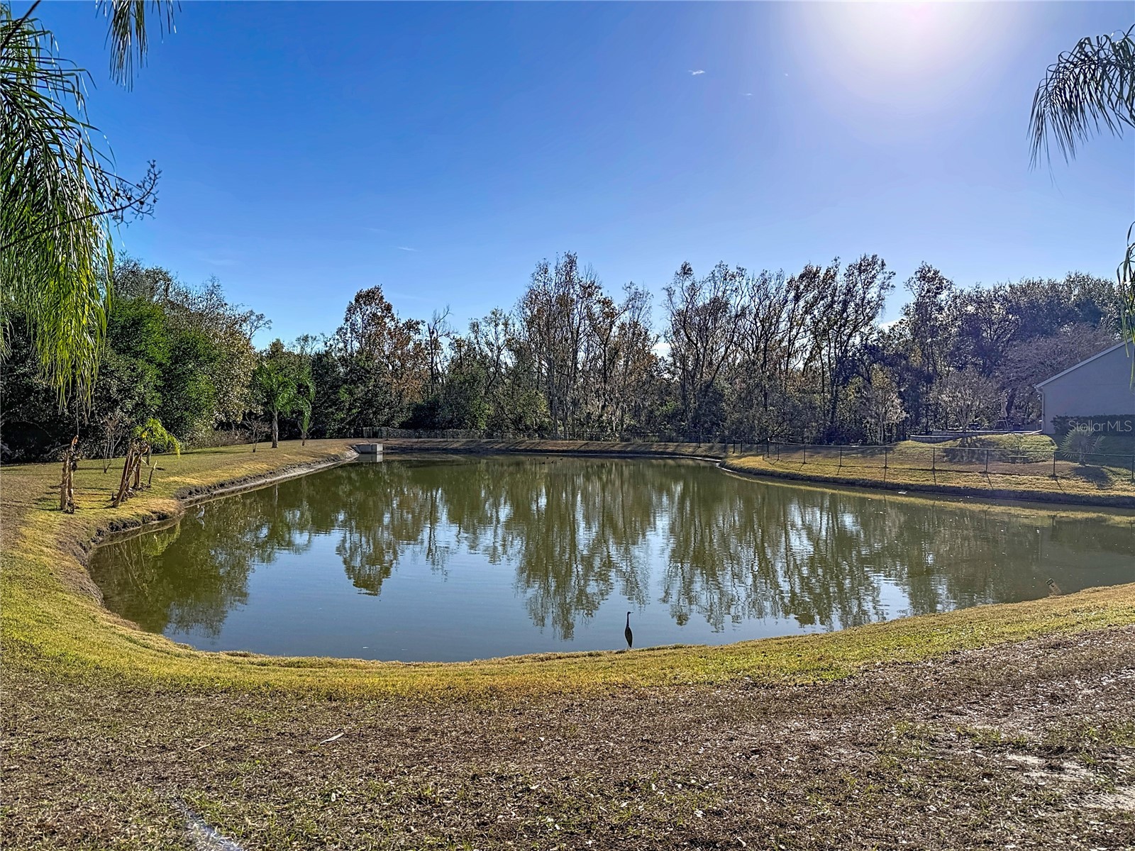 9606 Greenbank Drive Riverview FL 33569 TB8468510 image73