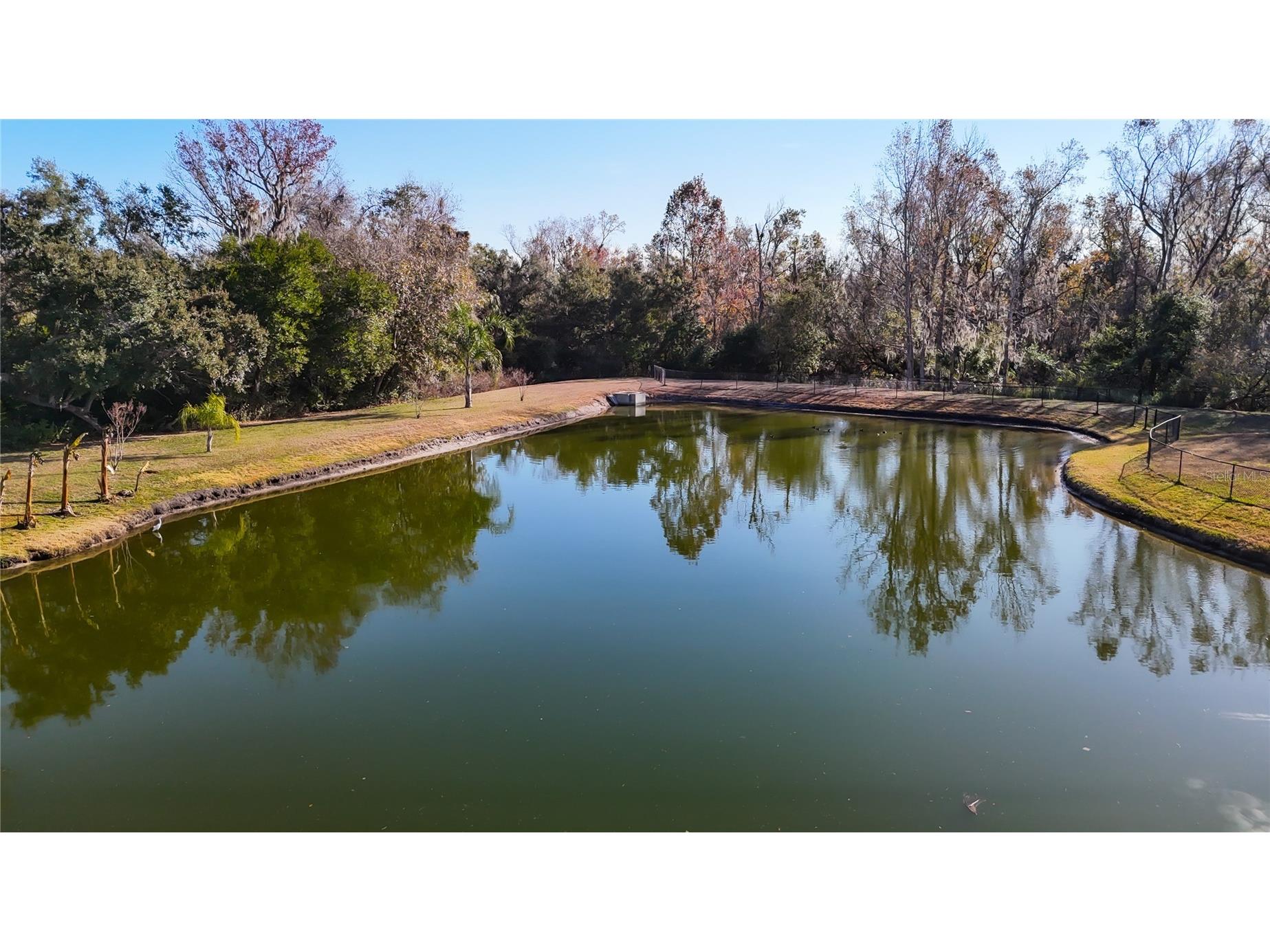 9606 Greenbank Drive Riverview FL 33569 TB8468510 image78