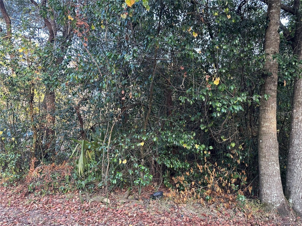 9607 Cardy Street New Port Richey FL 34654 W7859486 image1