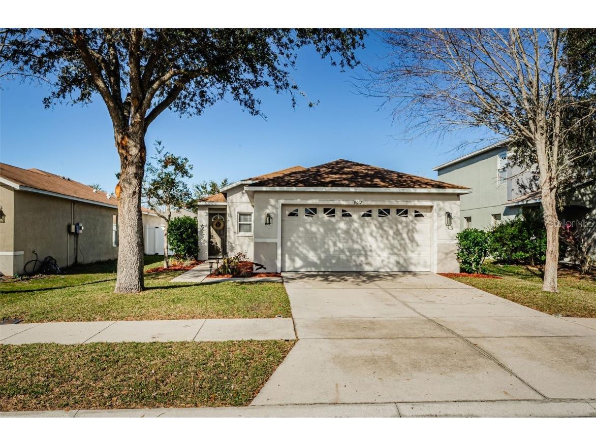 9607 Maxson Drive Land O Lakes FL 34638 TB8341654 image1