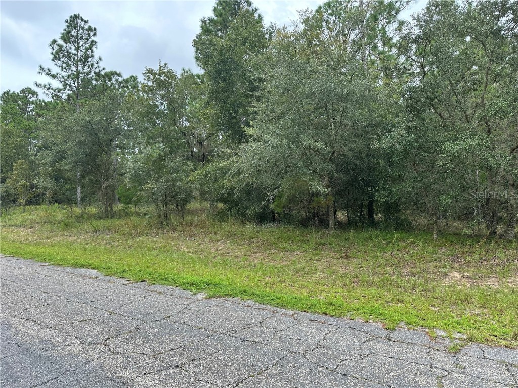 9607 N Lily Drive Citrus Springs FL 34434 OM685552 image1