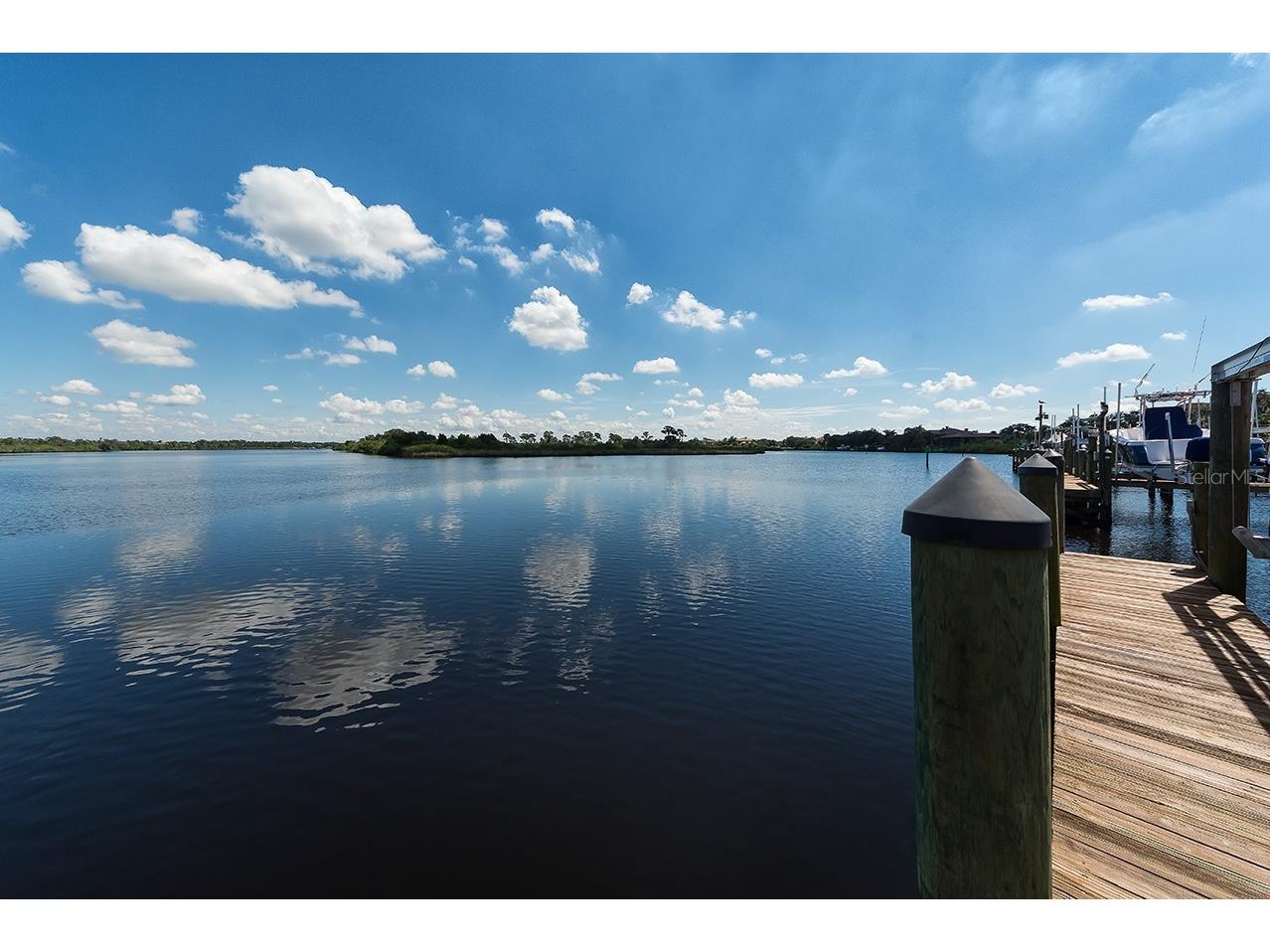 9607 Sea Turtle Terrace #201 Bradenton FL 34212 A4694201 image47