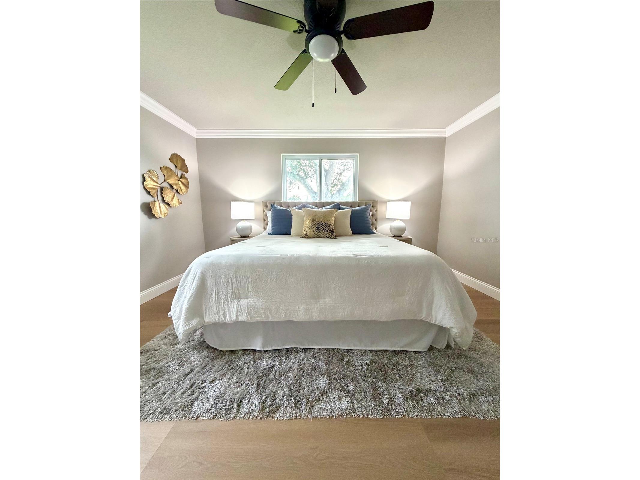 9608 41st Street N #2 Pinellas Park FL 33782 TB8515578 image11