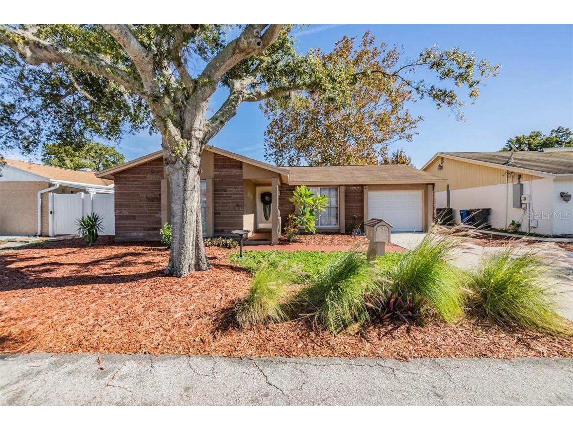 9608 Kingsburgh Court Tampa FL 33615 T3490184 image1