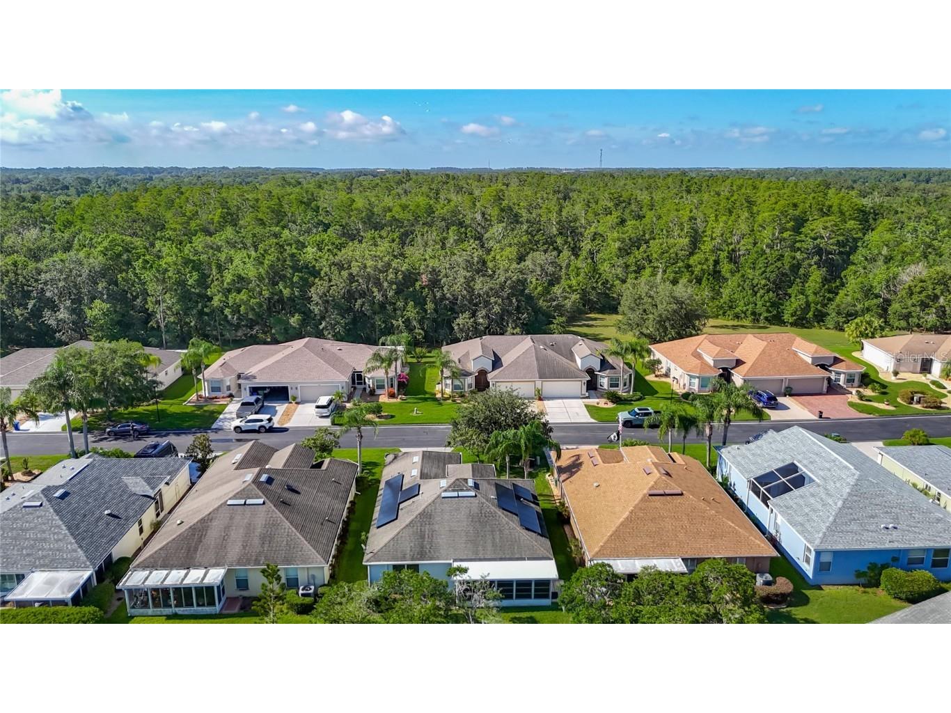 9608 Rolling Circle San Antonio FL 33576 TB8446175 image53