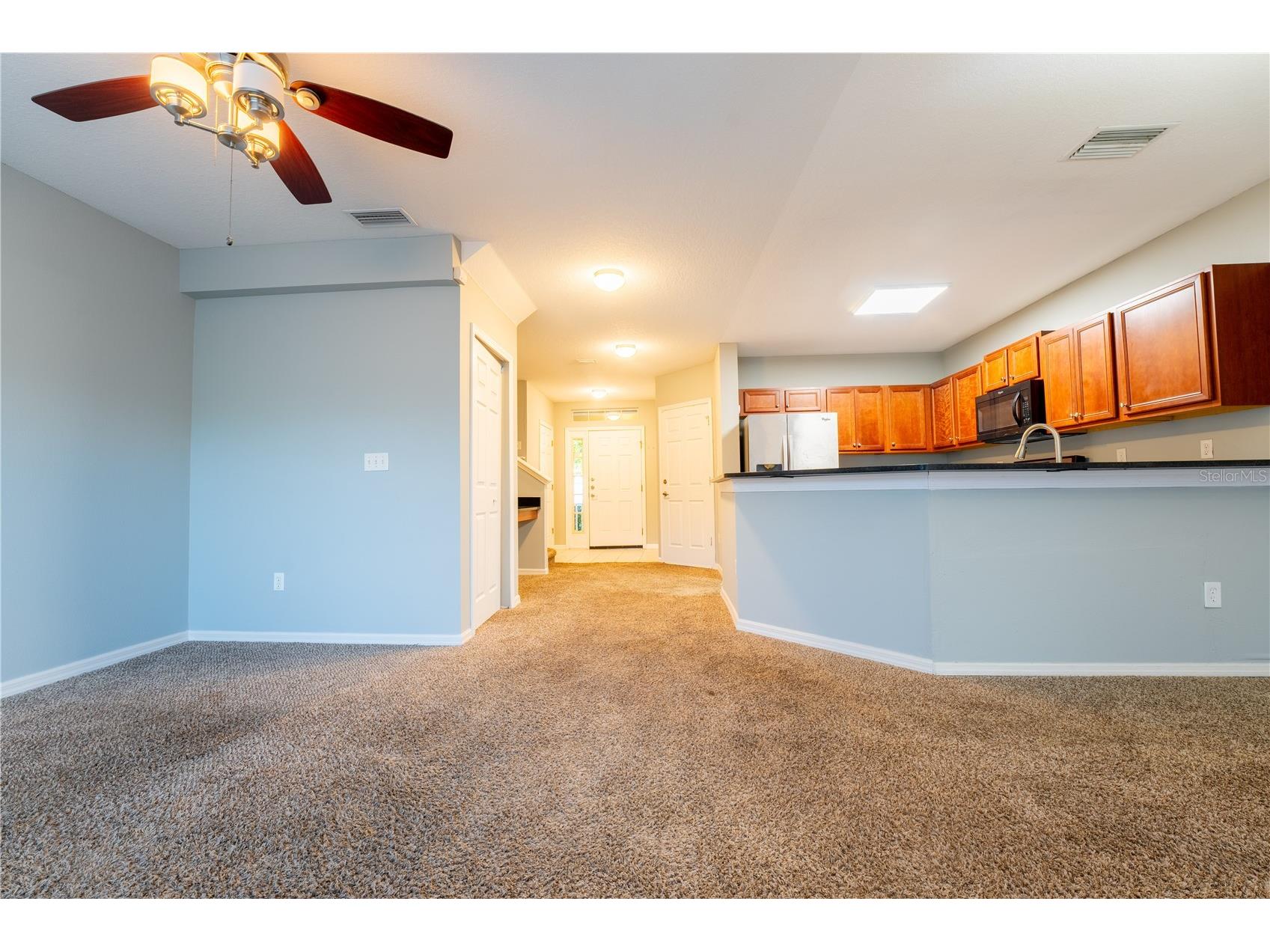 9609 Carlsdale Drive Riverview FL 33578 TB8496615 image20