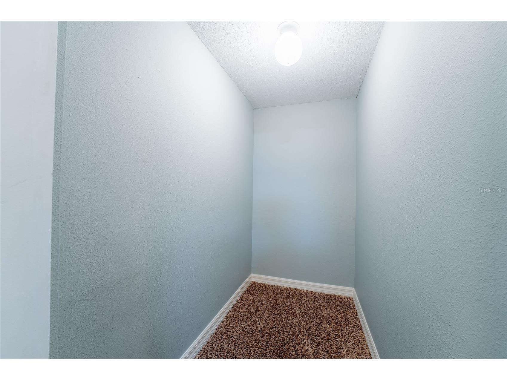 9609 Carlsdale Drive Riverview FL 33578 TB8496615 image21