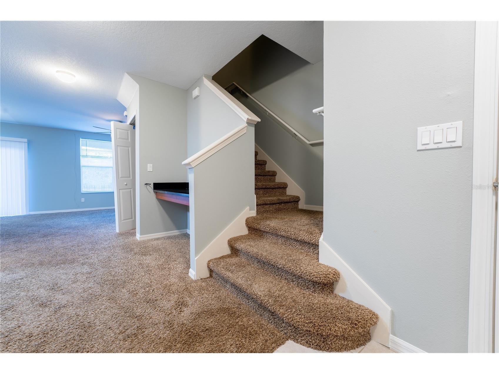 9609 Carlsdale Drive Riverview FL 33578 TB8496615 image25