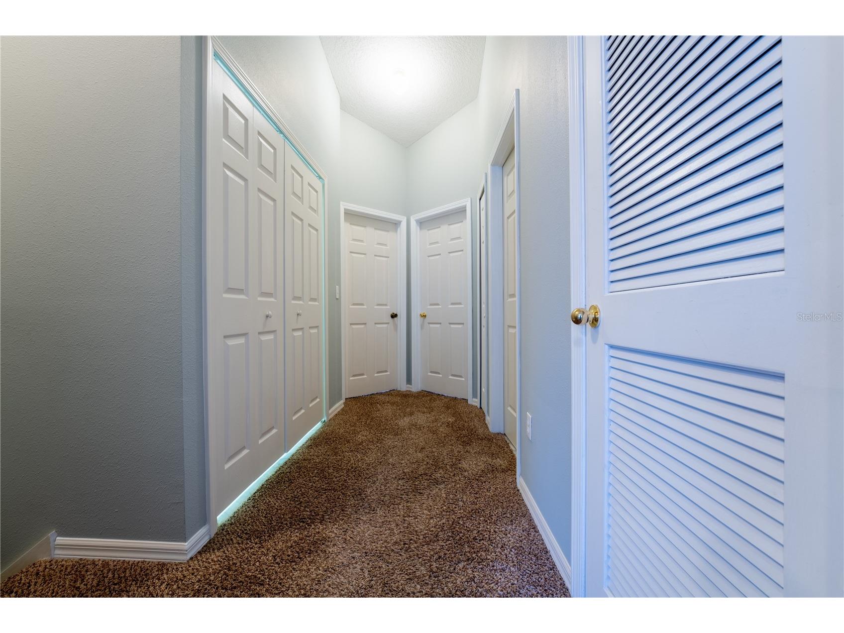 9609 Carlsdale Drive Riverview FL 33578 TB8496615 image26