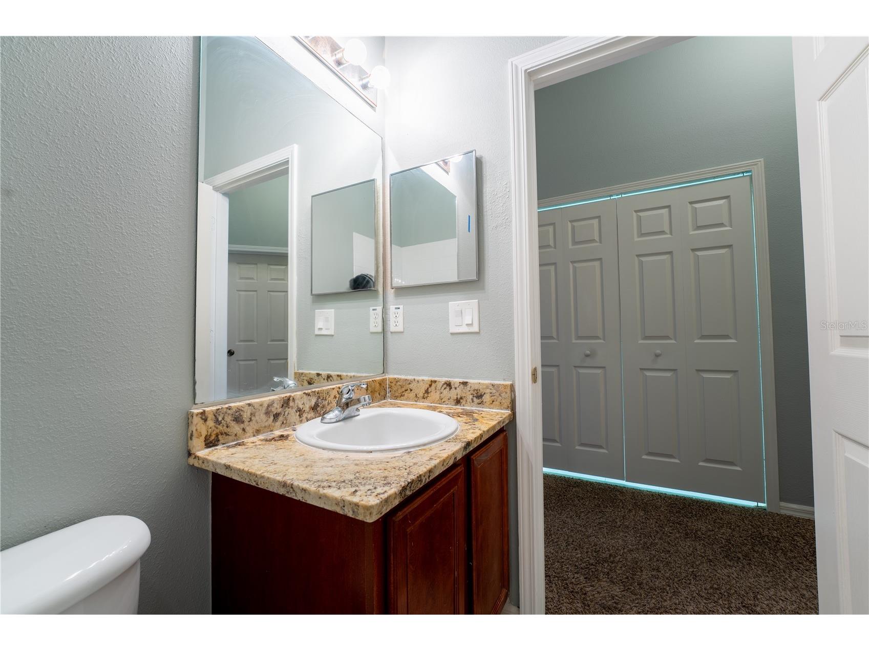 9609 Carlsdale Drive Riverview FL 33578 TB8496615 image29