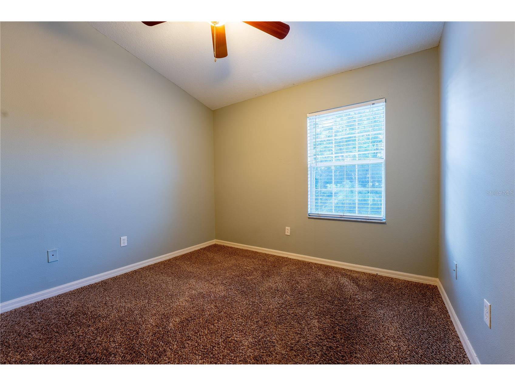 9609 Carlsdale Drive Riverview FL 33578 TB8496615 image32