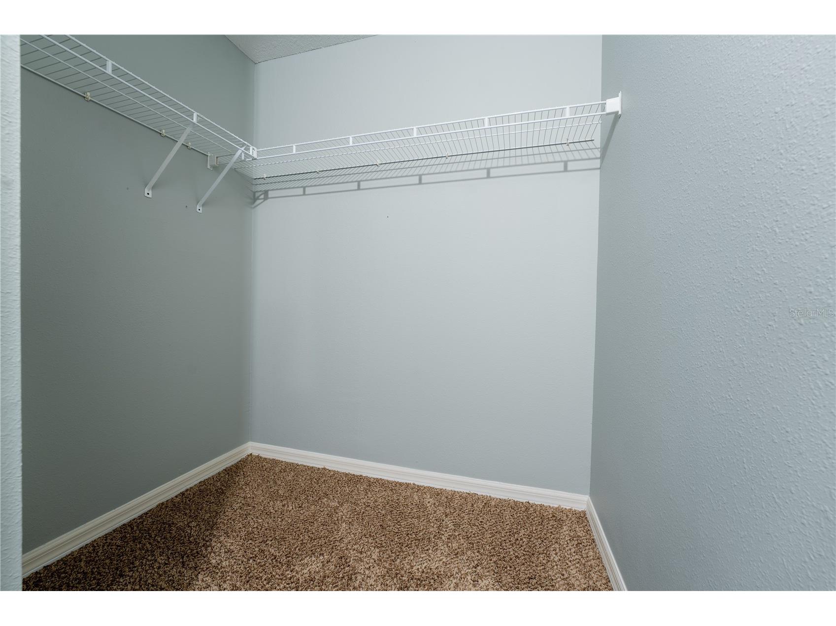 9609 Carlsdale Drive Riverview FL 33578 TB8496615 image38