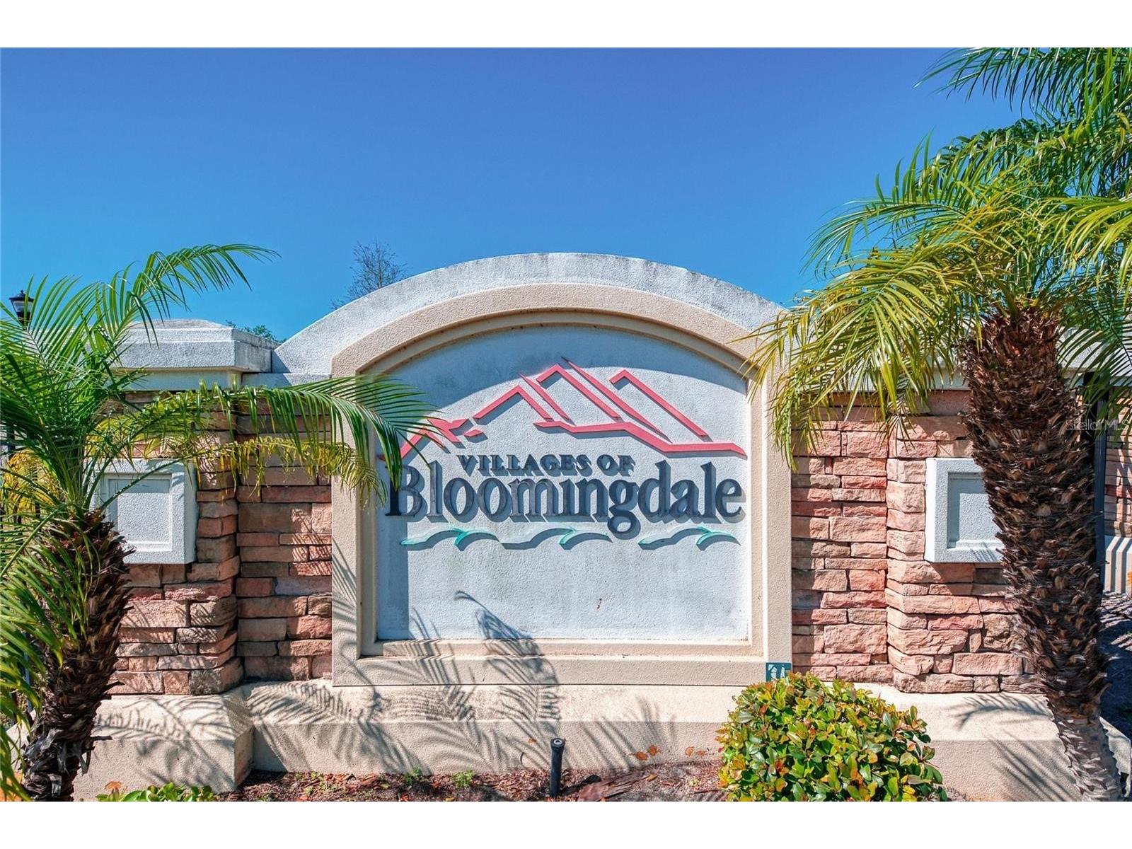 9609 Carlsdale Drive Riverview FL 33578 TB8496615 image46