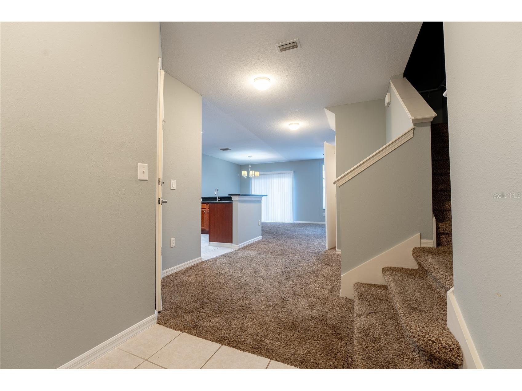 9609 Carlsdale Drive Riverview FL 33578 TB8496615 image7