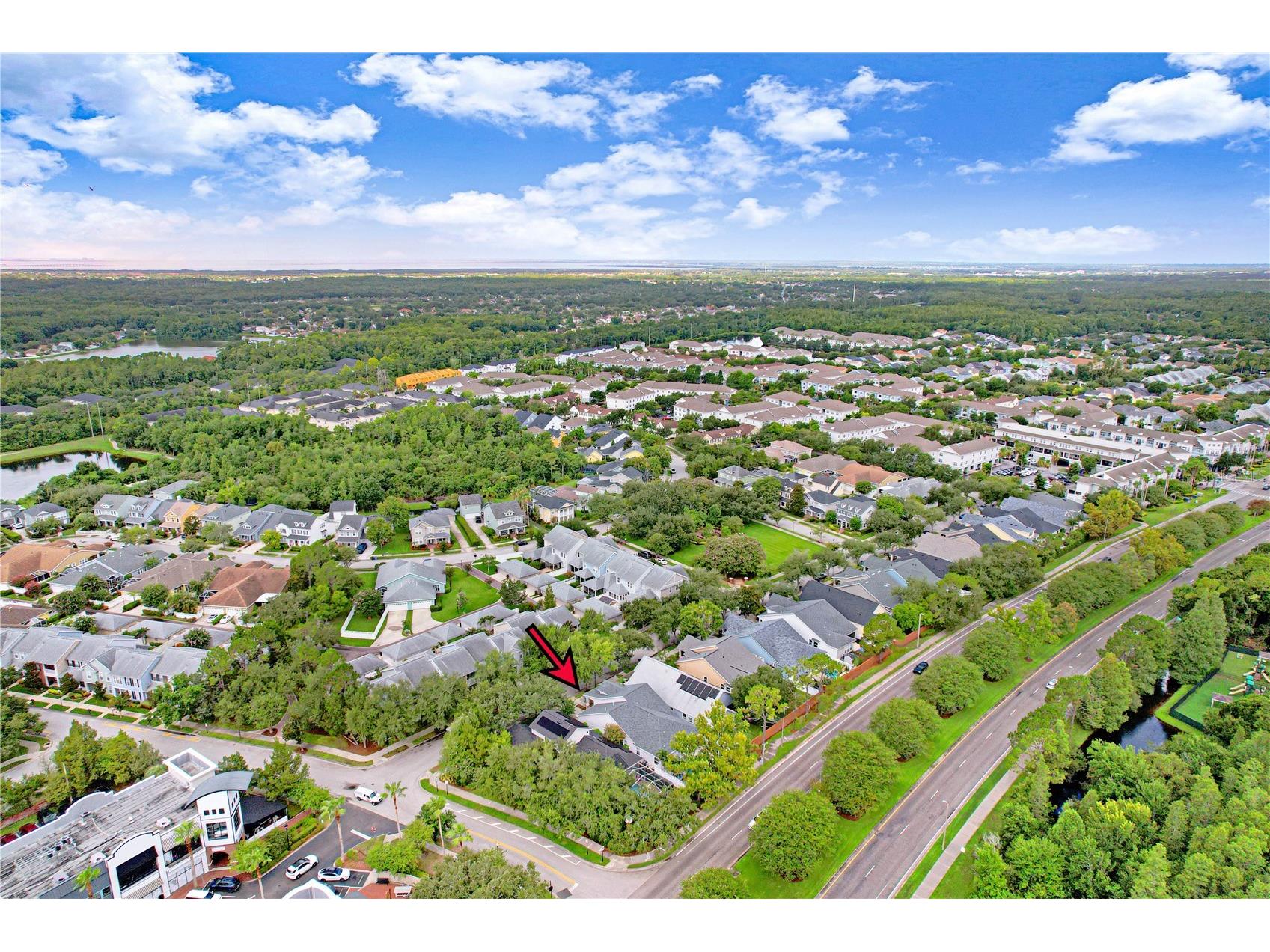 9609 Royce Drive Tampa FL 33626 TB8528886 image42