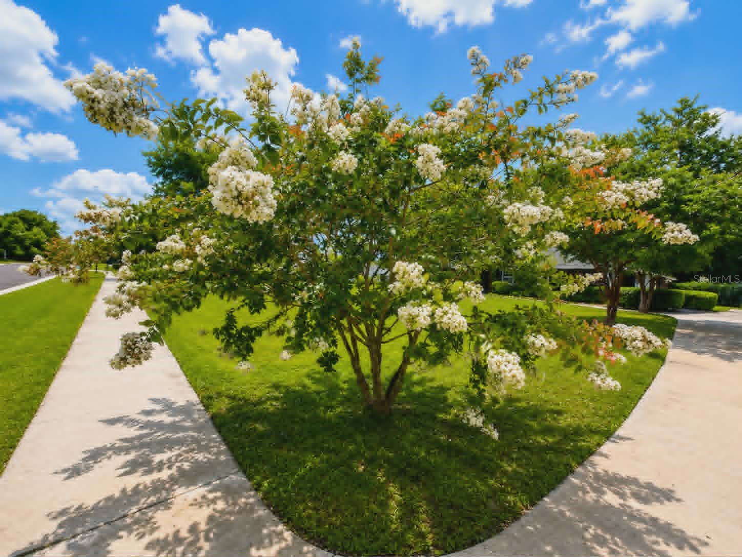 96095 Gravel Creek Drive Yulee FL 32097 V4949784 image9