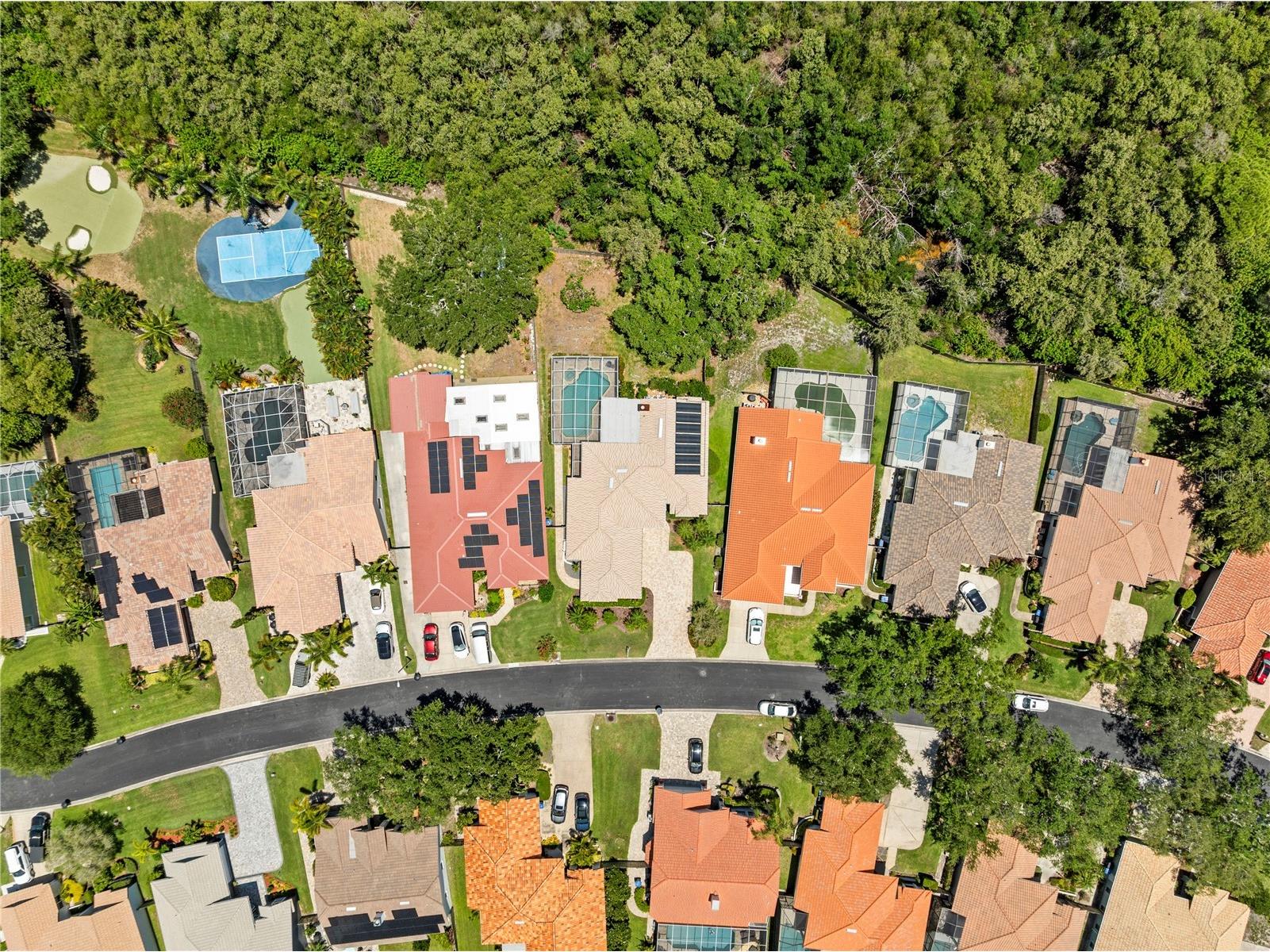 961 Live Oak Avenue NE Saint Petersburg FL 33703 TB8511032 image71
