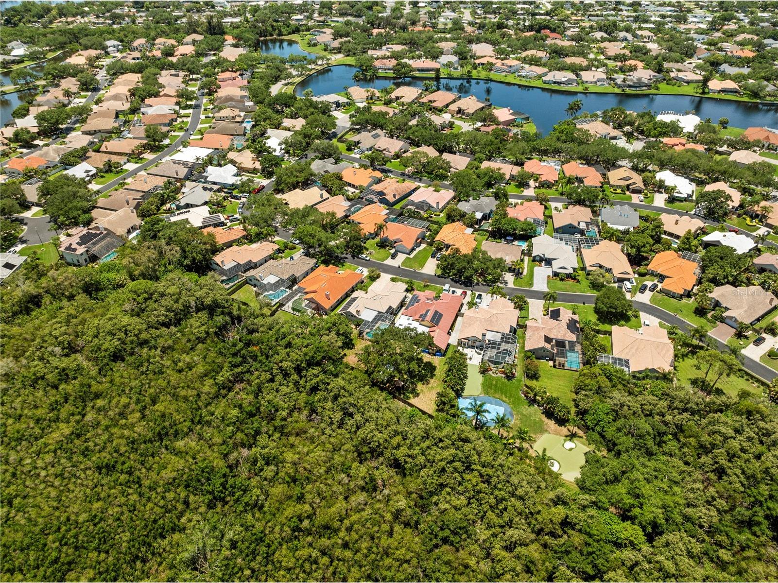 961 Live Oak Avenue NE Saint Petersburg FL 33703 TB8511032 image74
