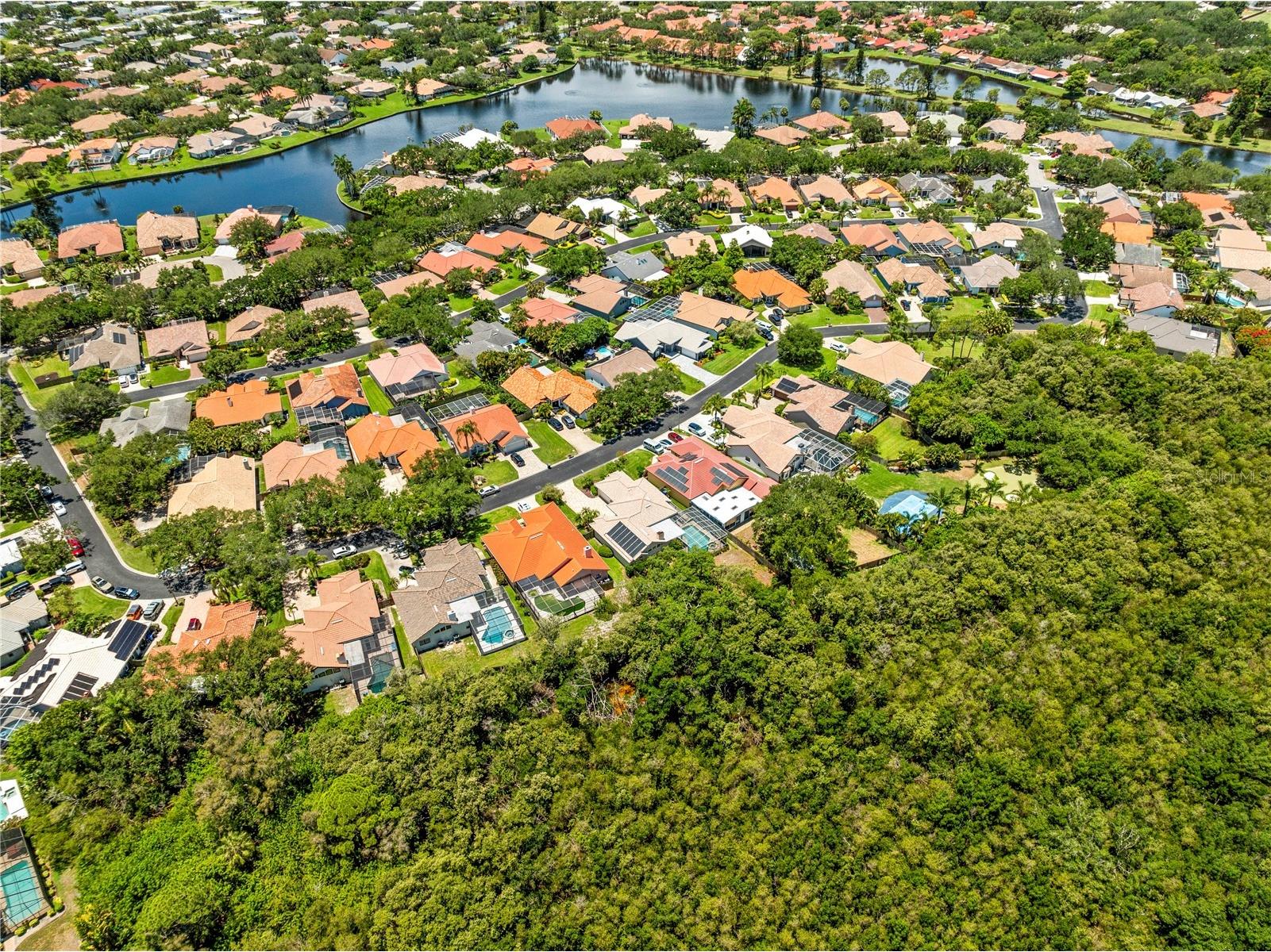 961 Live Oak Avenue NE Saint Petersburg FL 33703 TB8511032 image75