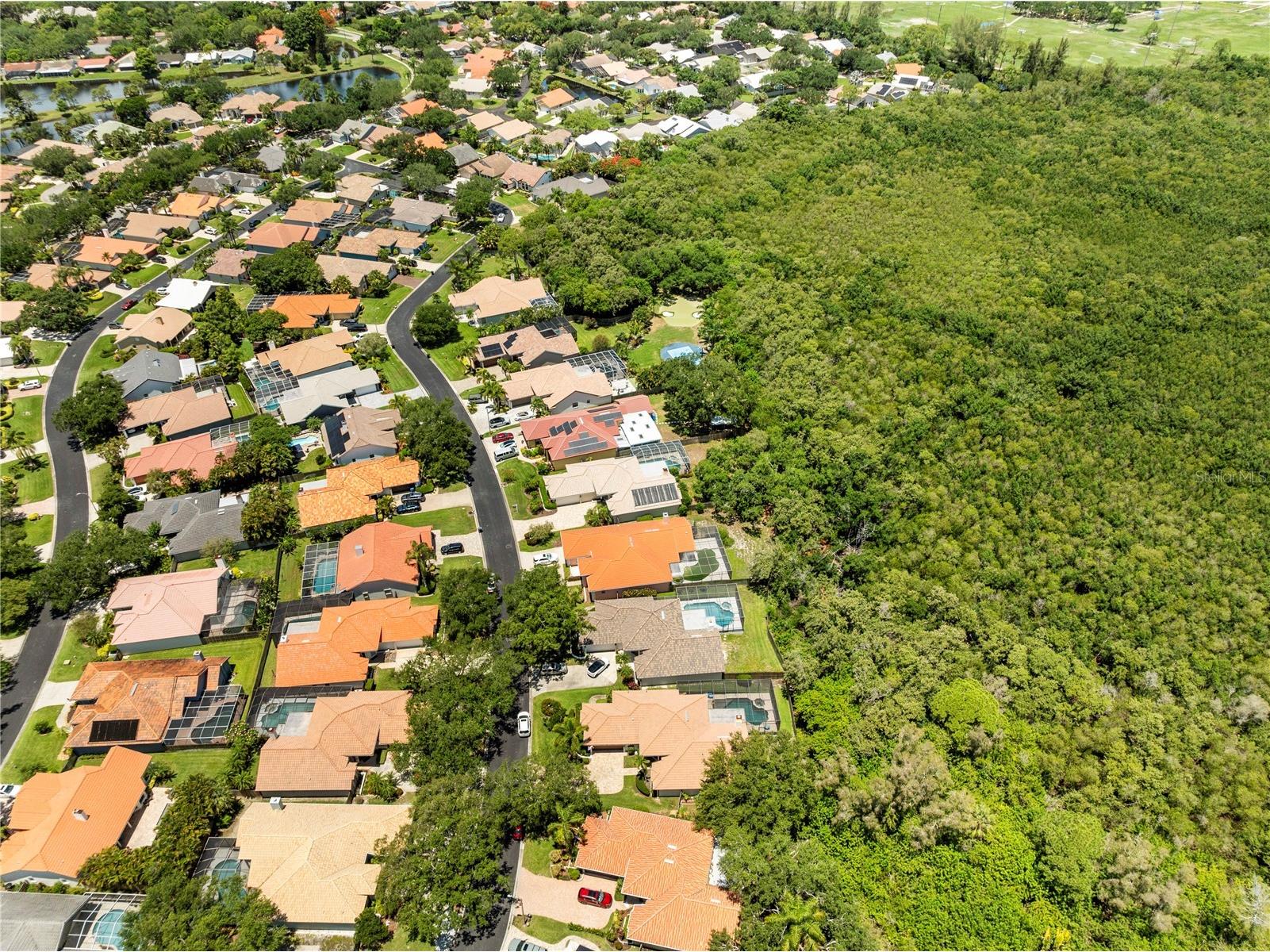 961 Live Oak Avenue NE Saint Petersburg FL 33703 TB8511032 image76